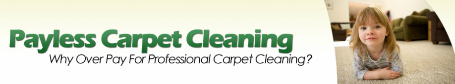 Payless Affordable Carpet Cleaning Santa Barbara